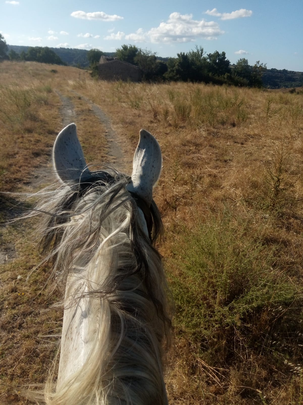 Agriturismo cavallo bolsena