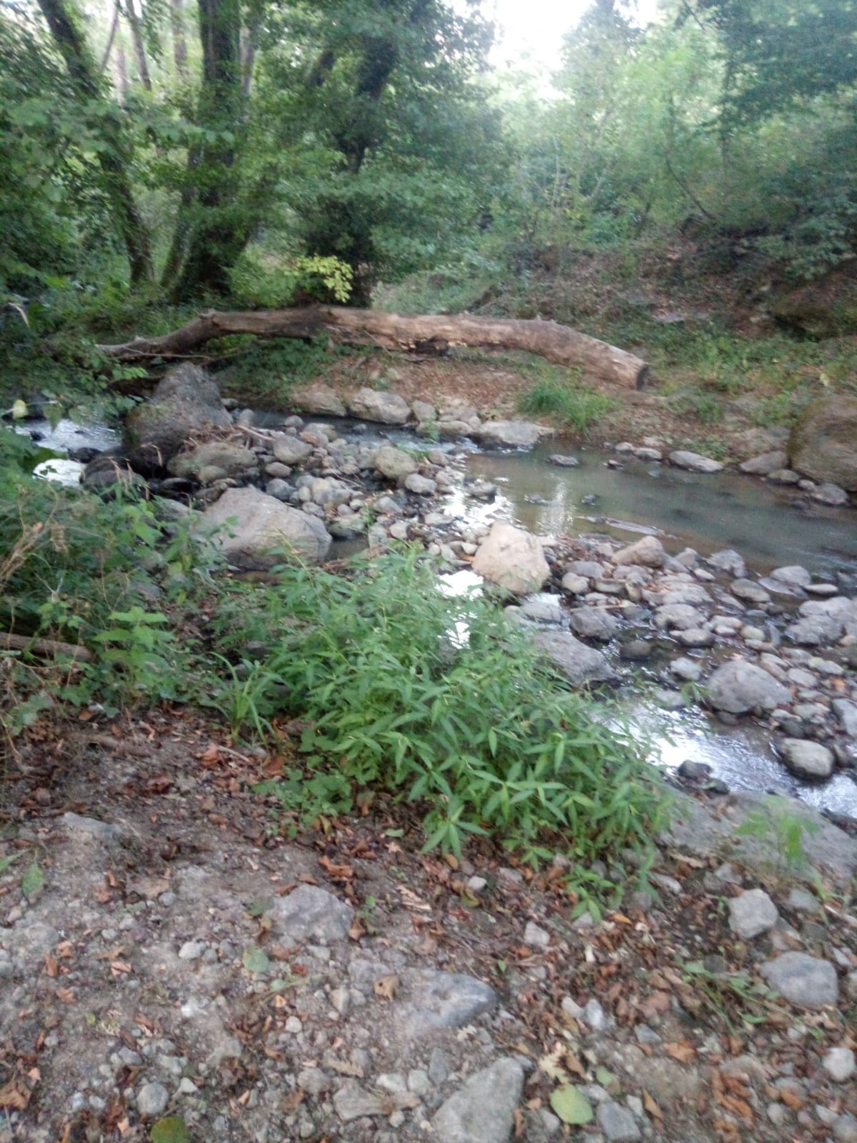 Avventura cavallo lazio