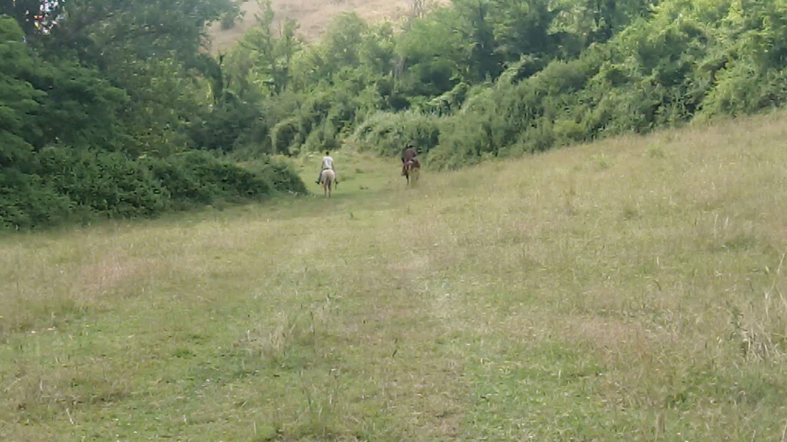 Bagnoregio pony club