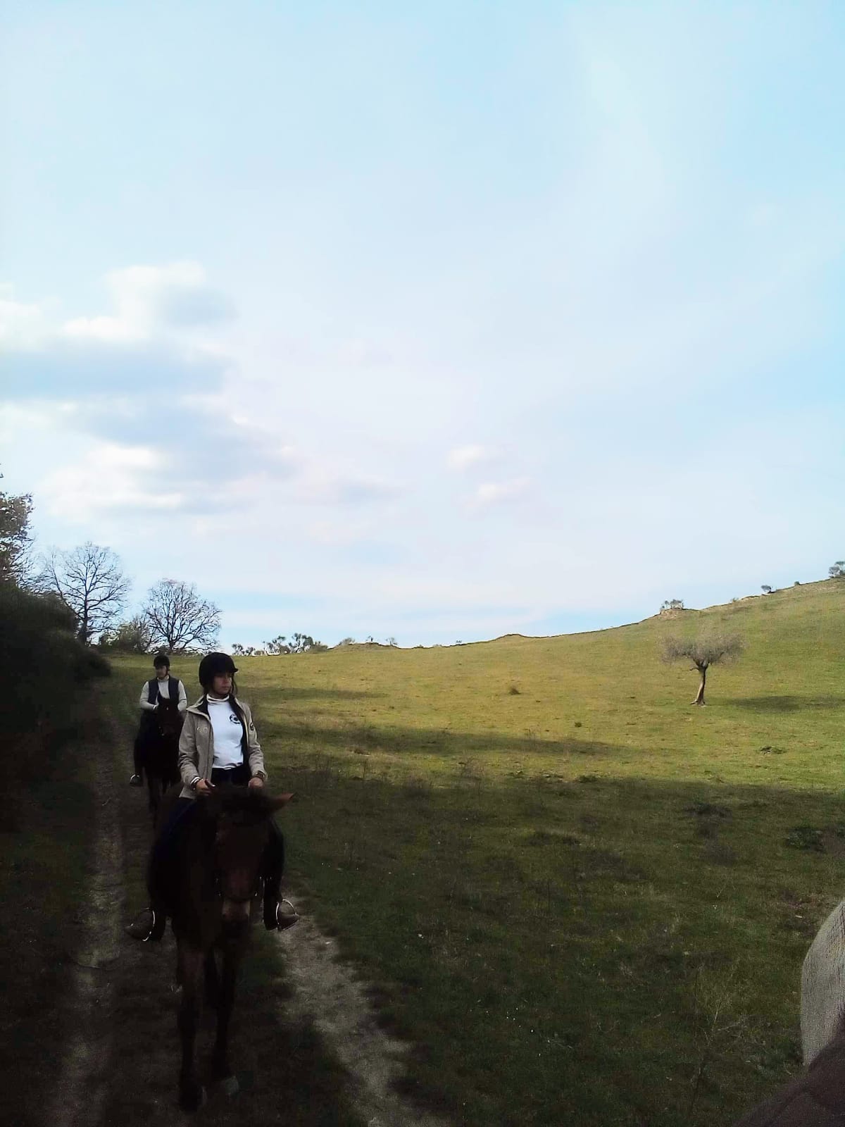 Bganoreggio passeggiata cavallo