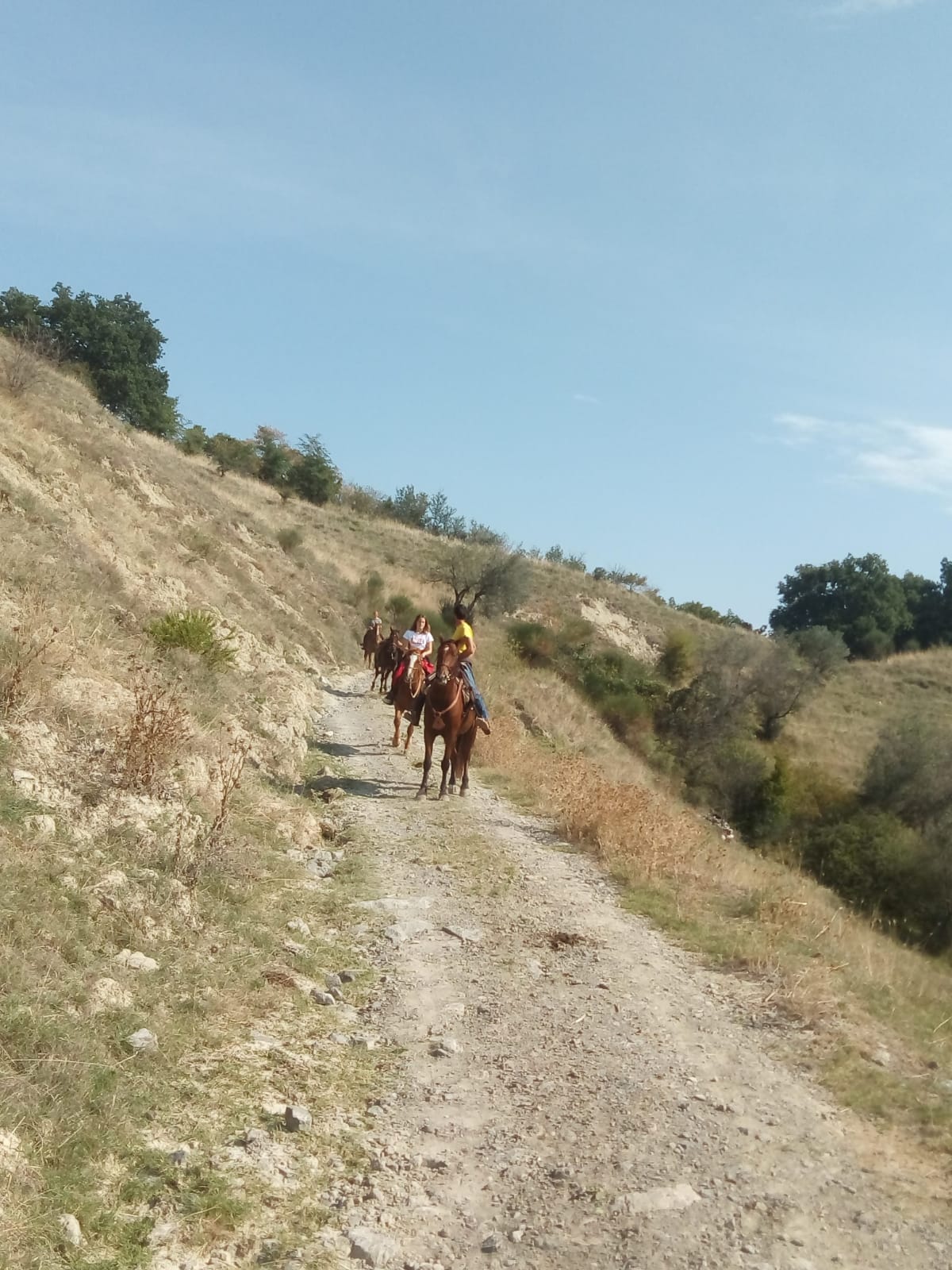 Bolsena trekking cavallo