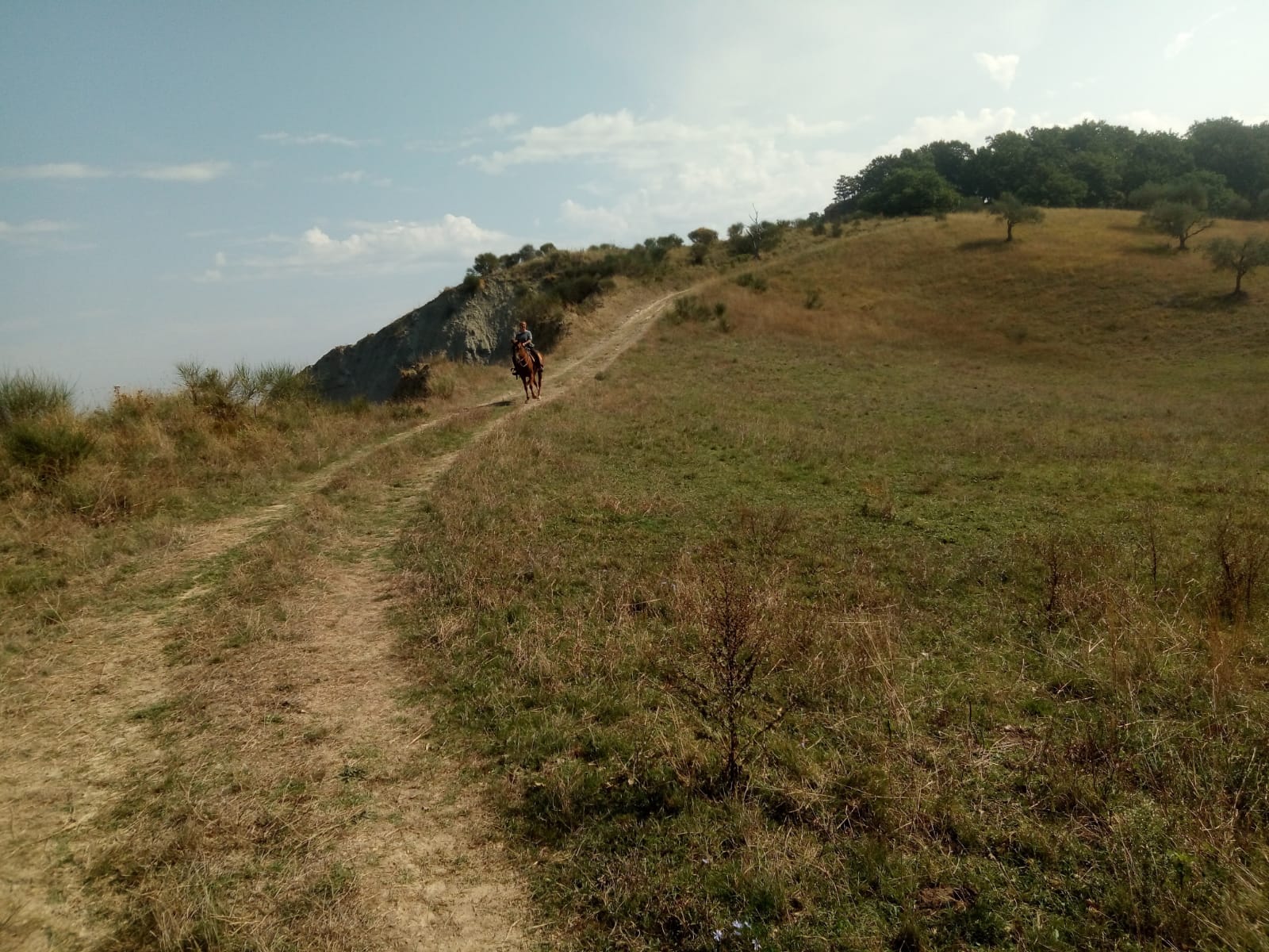 Bomarzo passeggiata cavallo