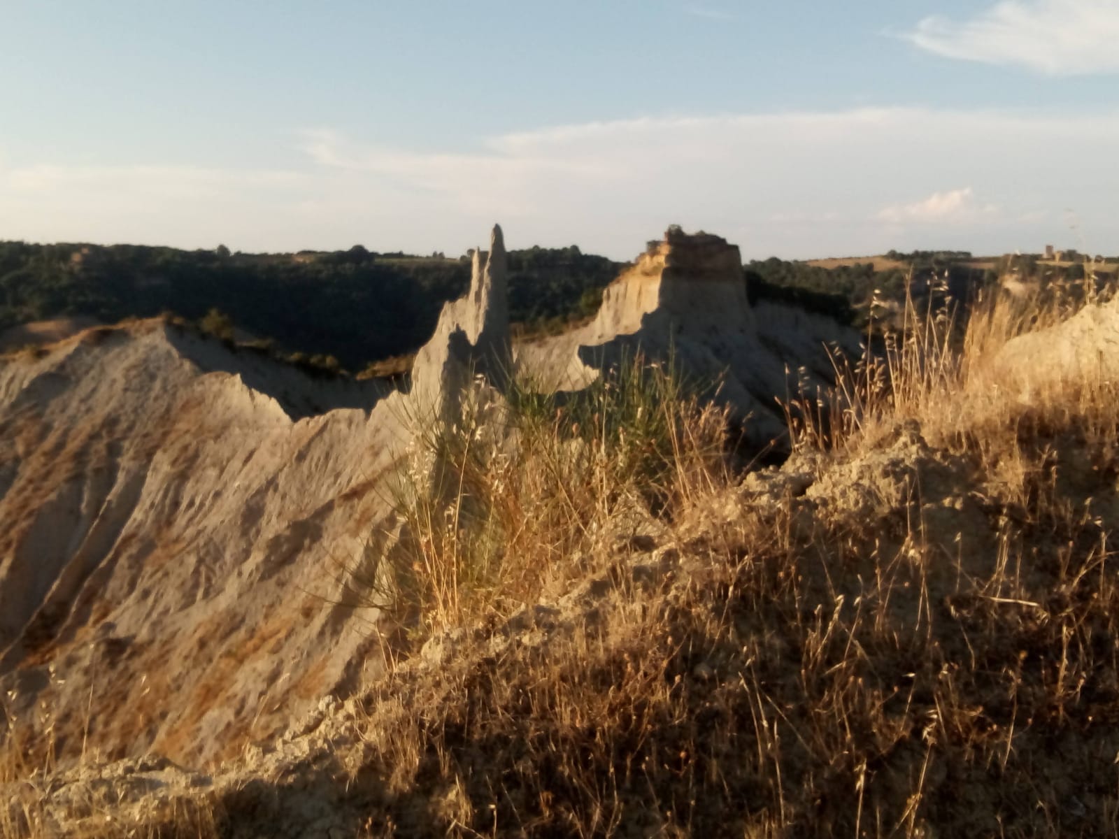 Calanchi bagnoreggio cavallo