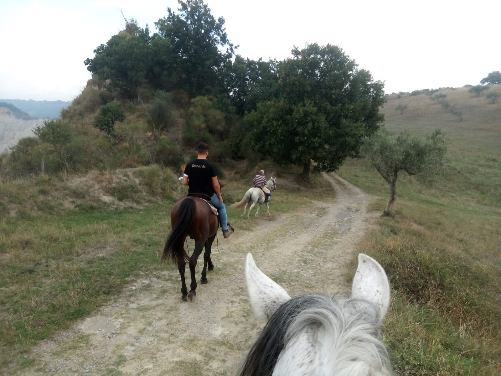 Civita bagnoreggio cavallo