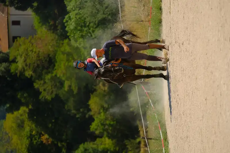 Bambini equitazione maneggio
