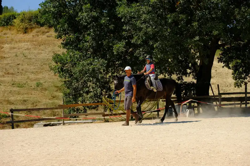 Bambini maneggio cavalcare
