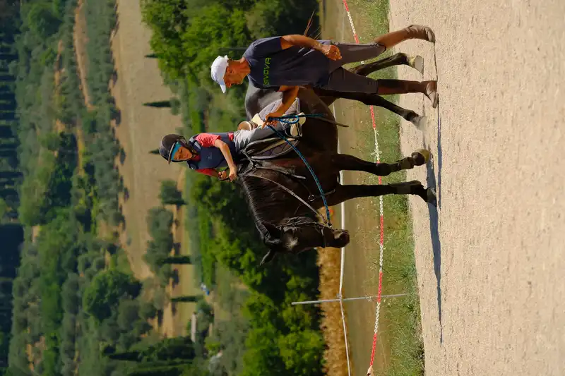 Bambini maneggio equitazione