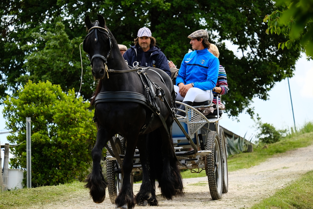 Carrozza in toscana