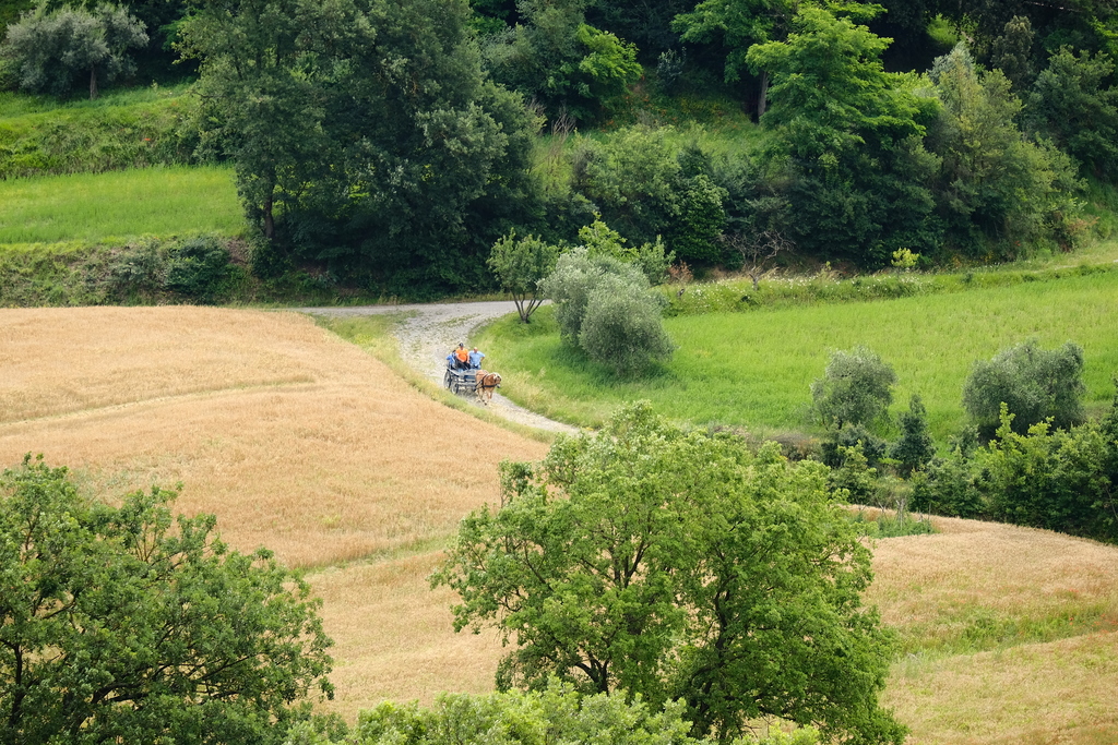 Carrozza lago di chiusi