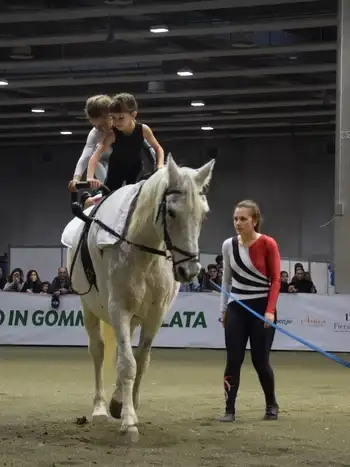 Acrobazie cavallo verona