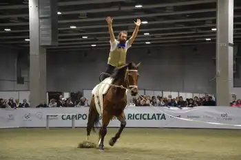 Cavalli verona volteggio 2018