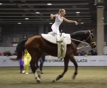 Spettacolo volteggio cavalli