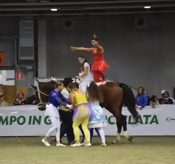 Volteggio italia 2018