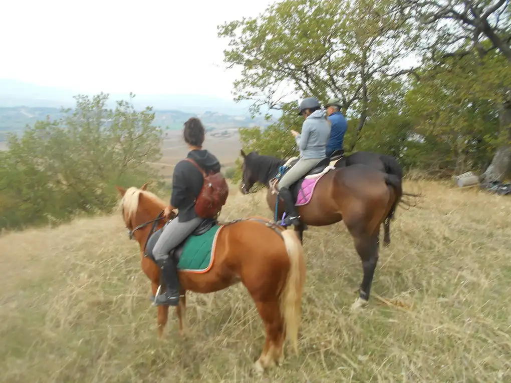 Cavallo trekking