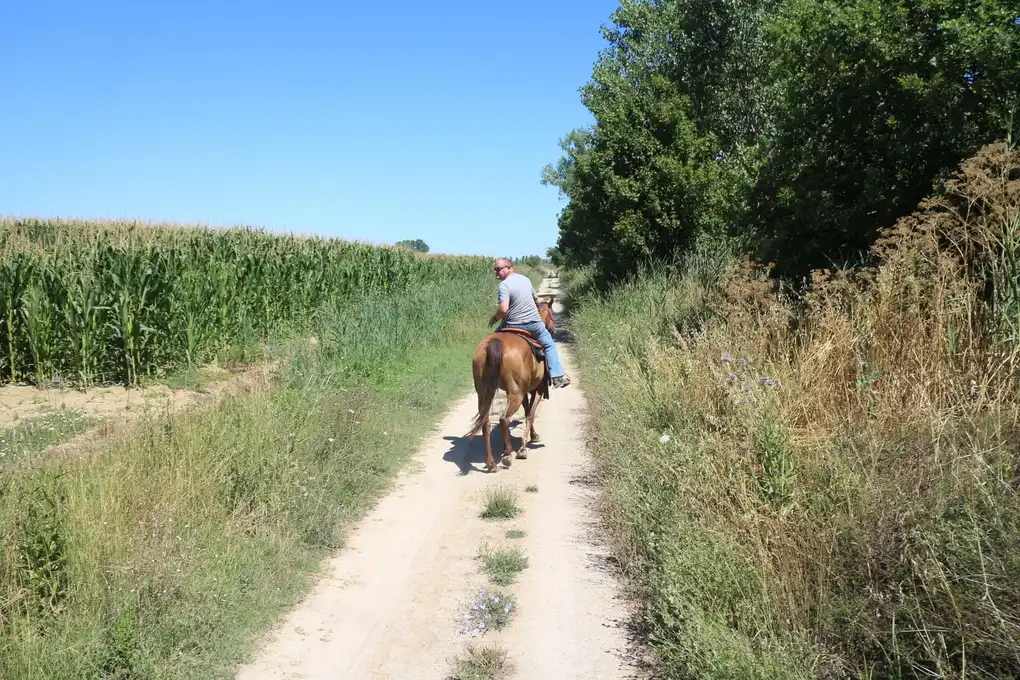 Umbria trekking cavallo