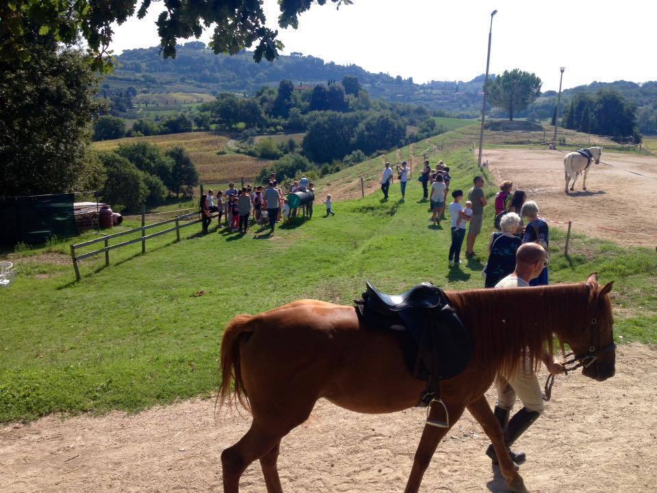 11889402 704316196379137 8192414637617960359 n