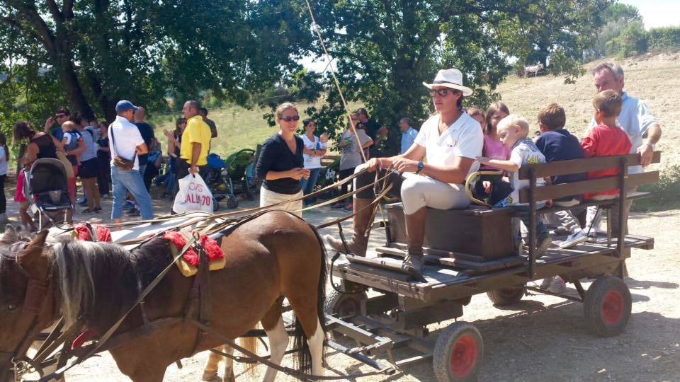 11898888 704316386379118 4237410421575472174 n