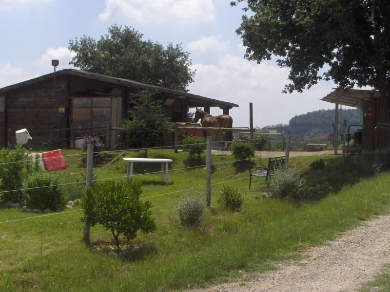 Maneggio tre laghi 08