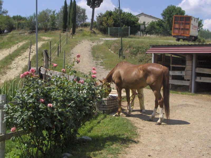 Maneggio tre laghi 10