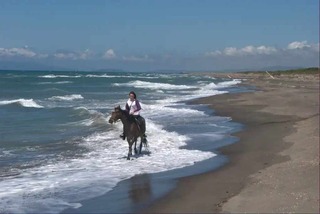 Cavalcare maremma spiaggia