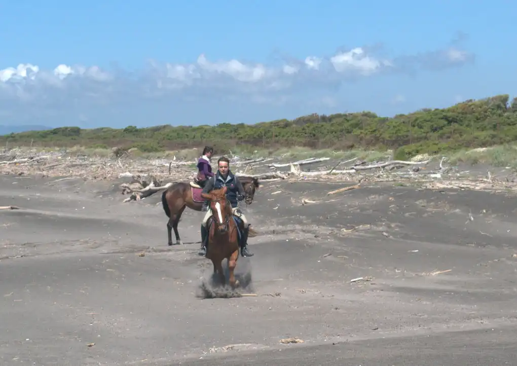 Cavallo mare maremma