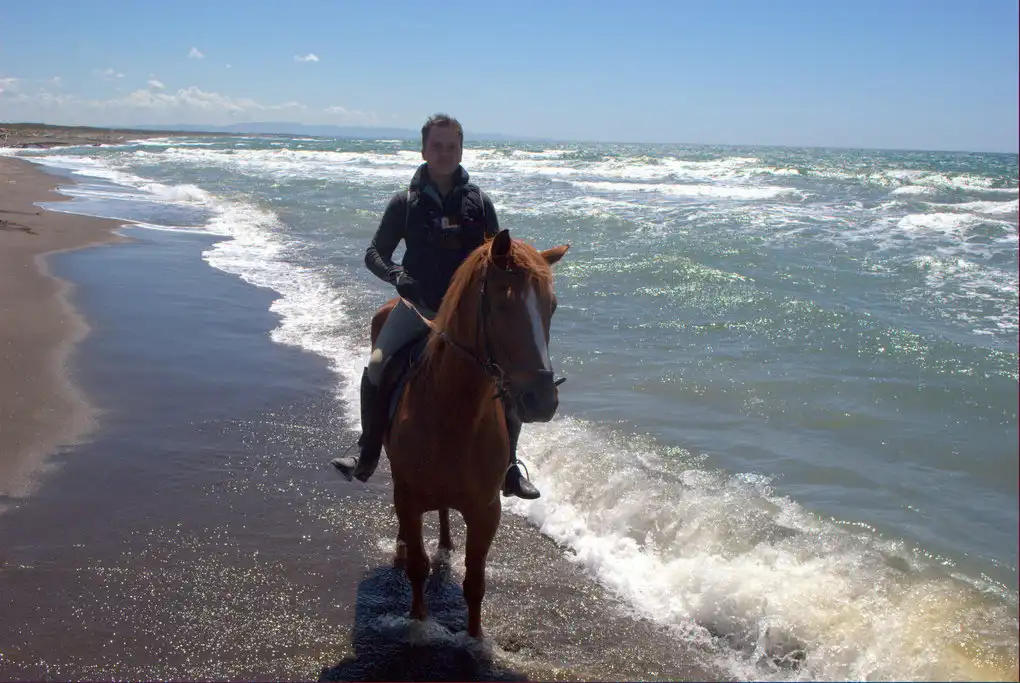 Cavallo spiaggia