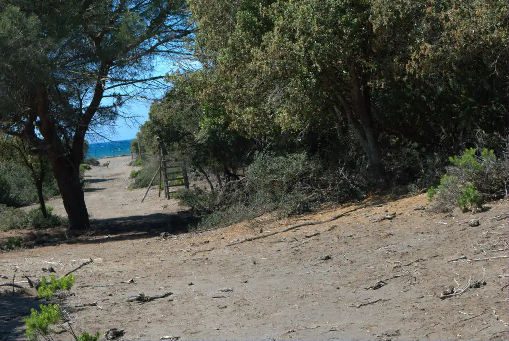 In spiaggia a cavallo
