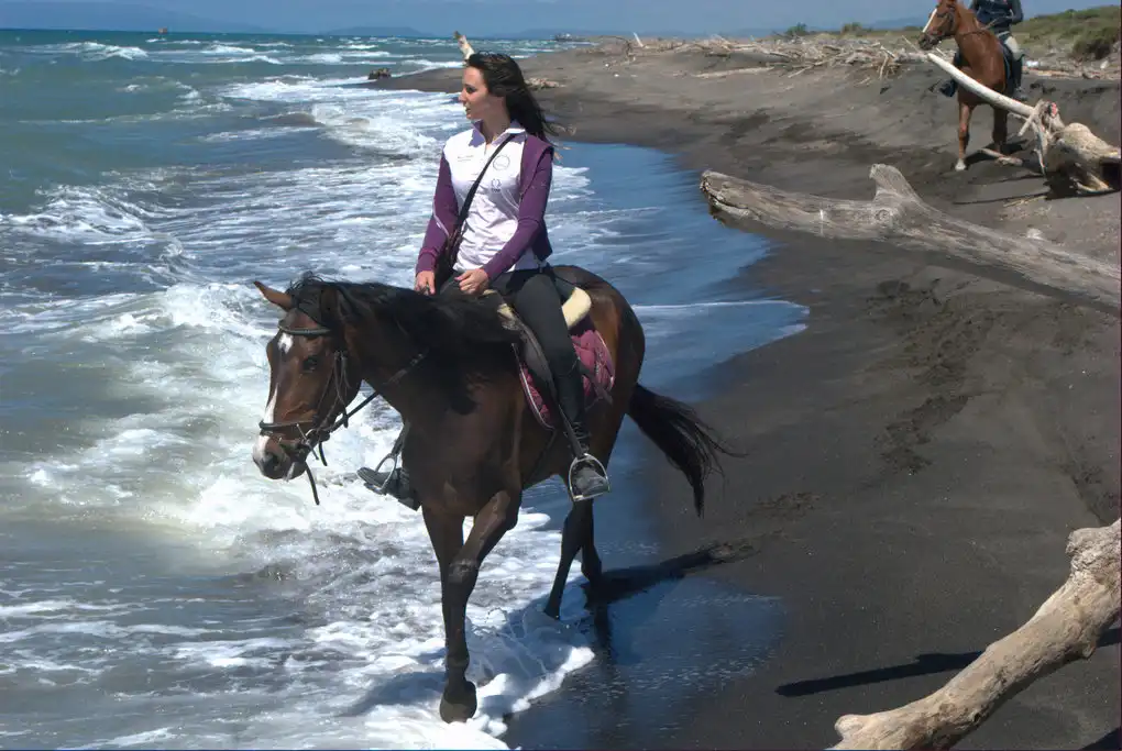 Mare cavallo montalto