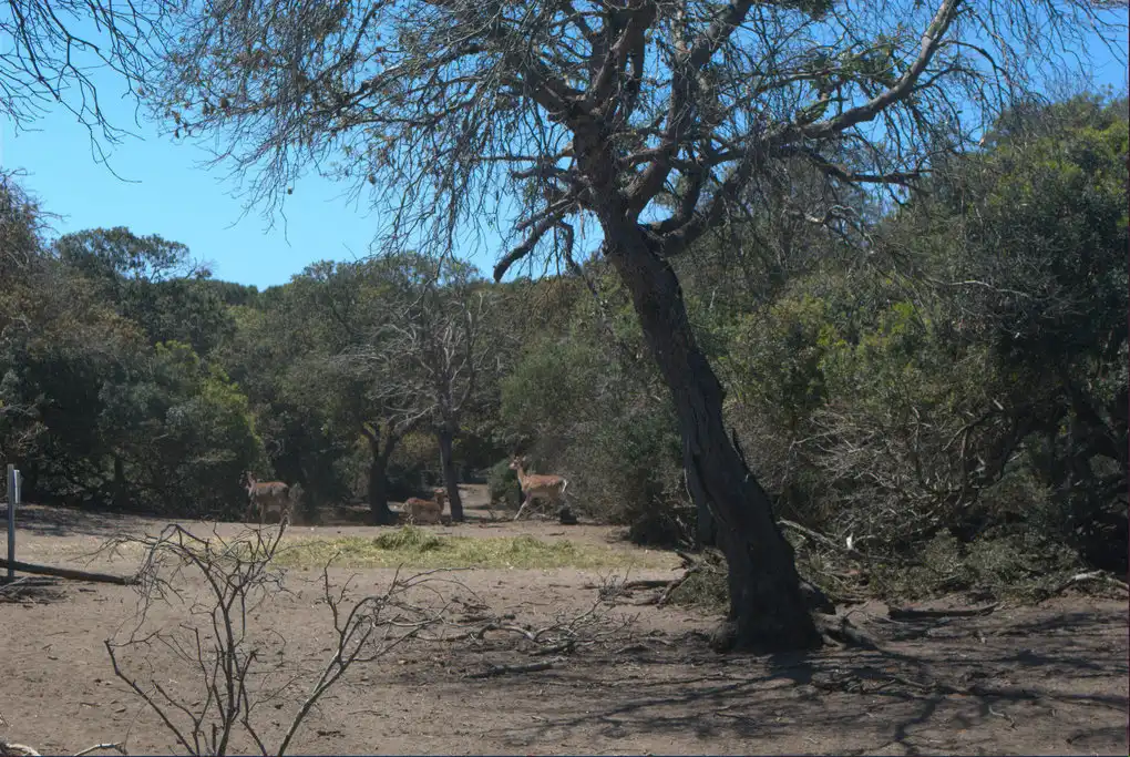 Parco montalto di castro