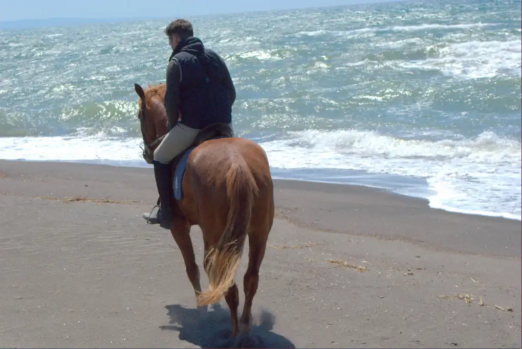 Passeggiate cavallo spiagga maremma