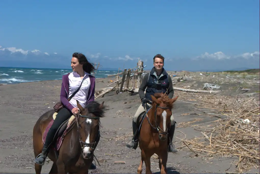Passeggiate cavallo spiaggia