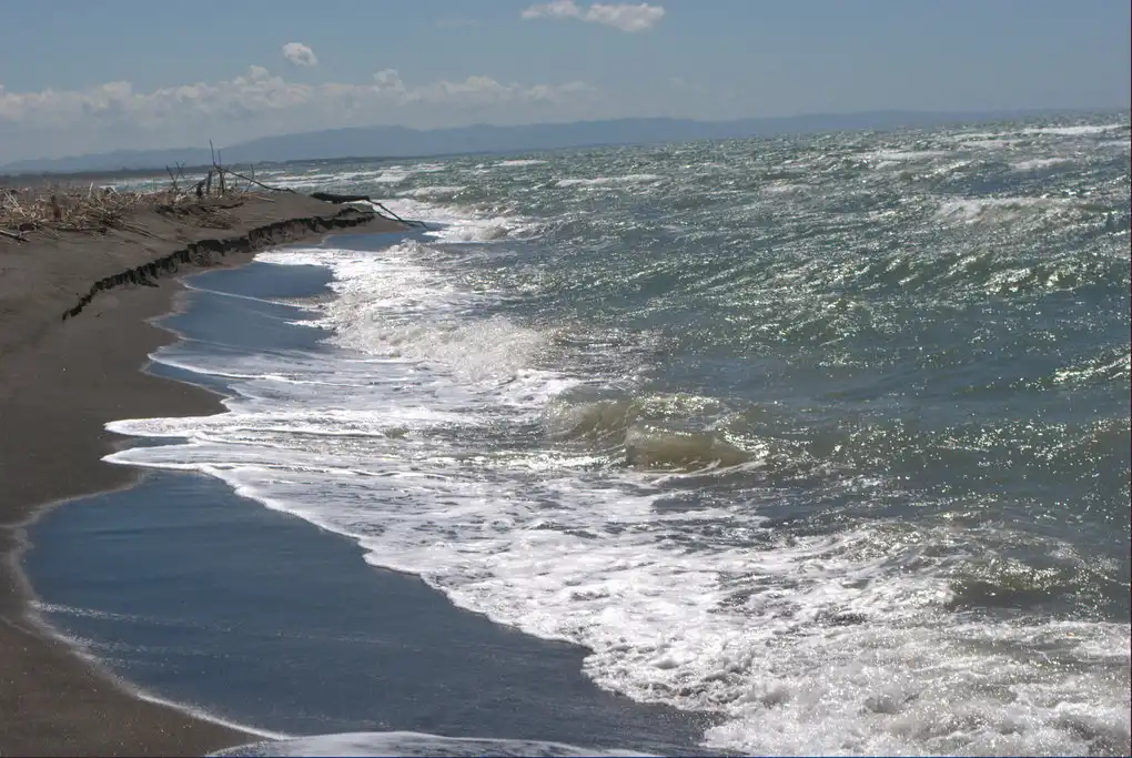 Spiaggia maremma cavallo