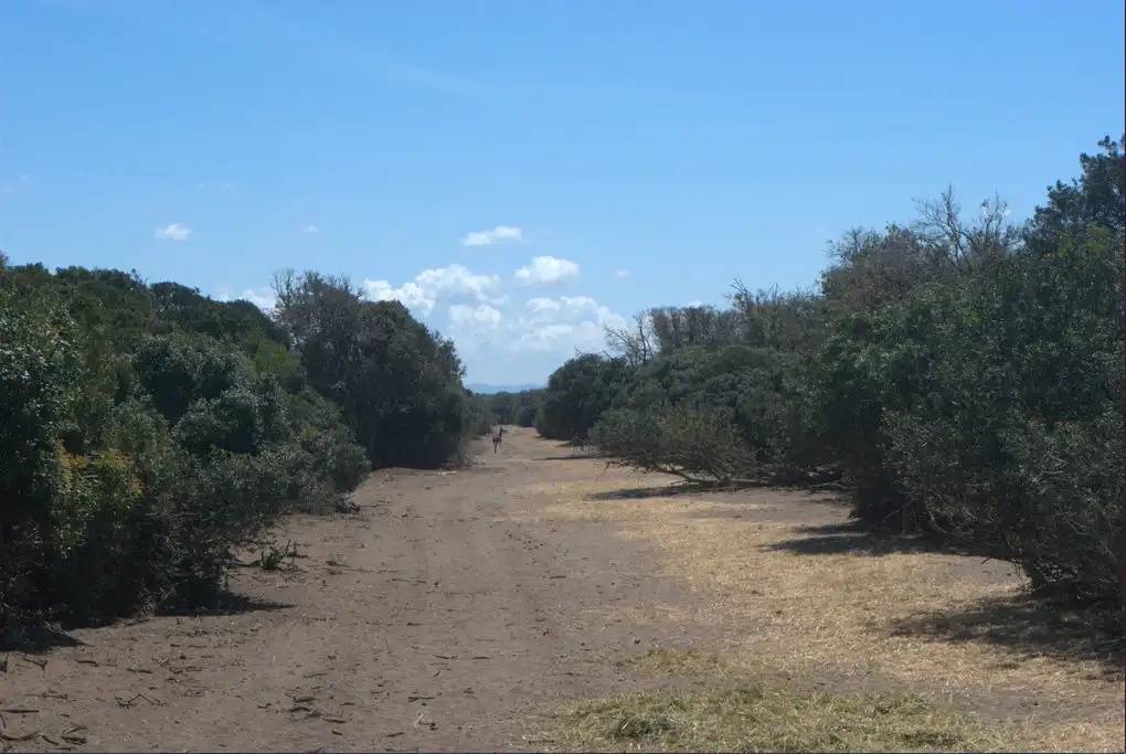 Vulci a cavallo al mare