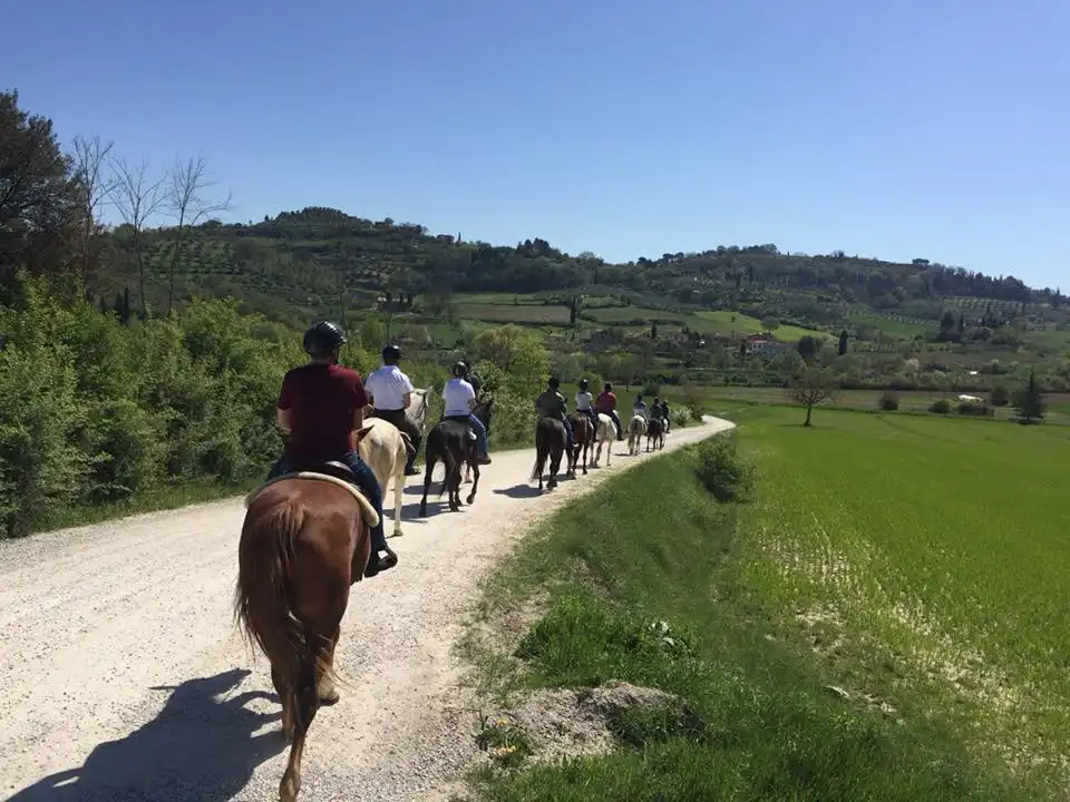 31084275 1328112733955783 1612455993095775877 n