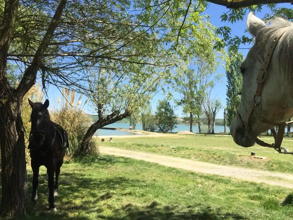 31117925 1328114310622292 2229593350816599230 n