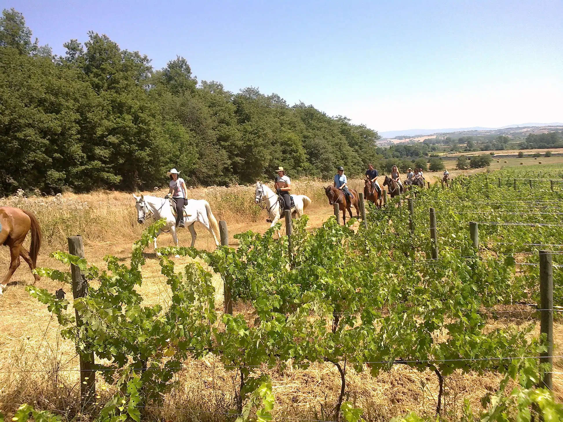 89359531 2354637217969991 2951432179269238784 o