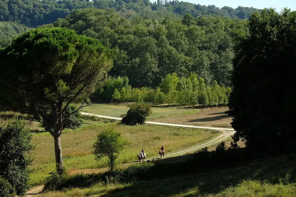 Passeggiata toscana cavallo
