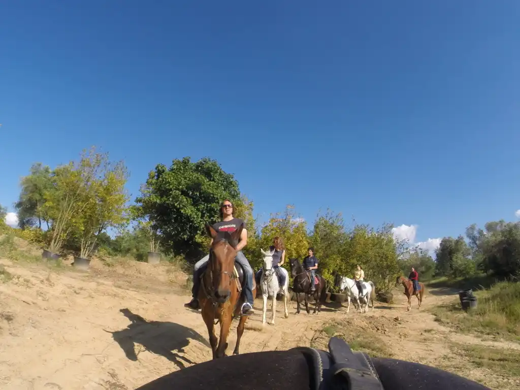 Passeggiata toscana cavallo