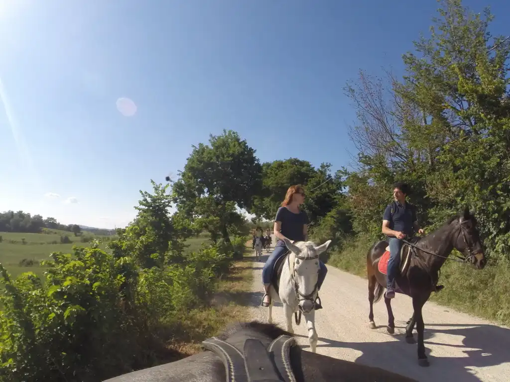 Trekking cavallo sernagiotto