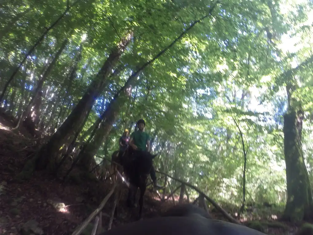 Attivita castiglioncello trinoro