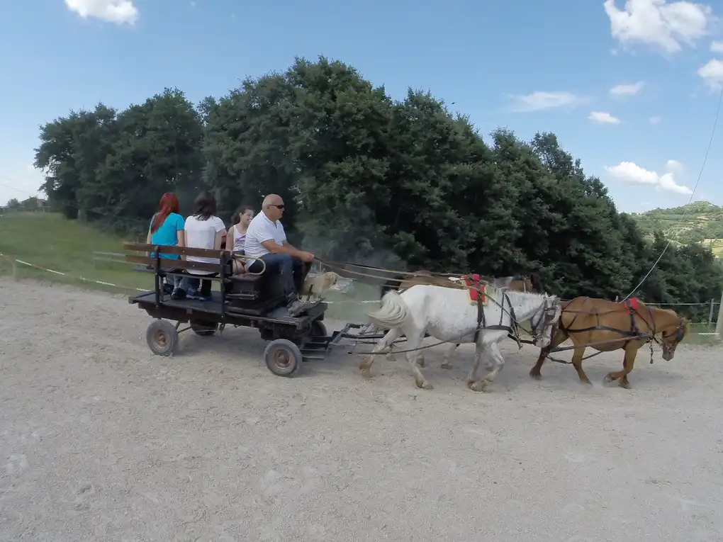 Calesse pony passeggiata