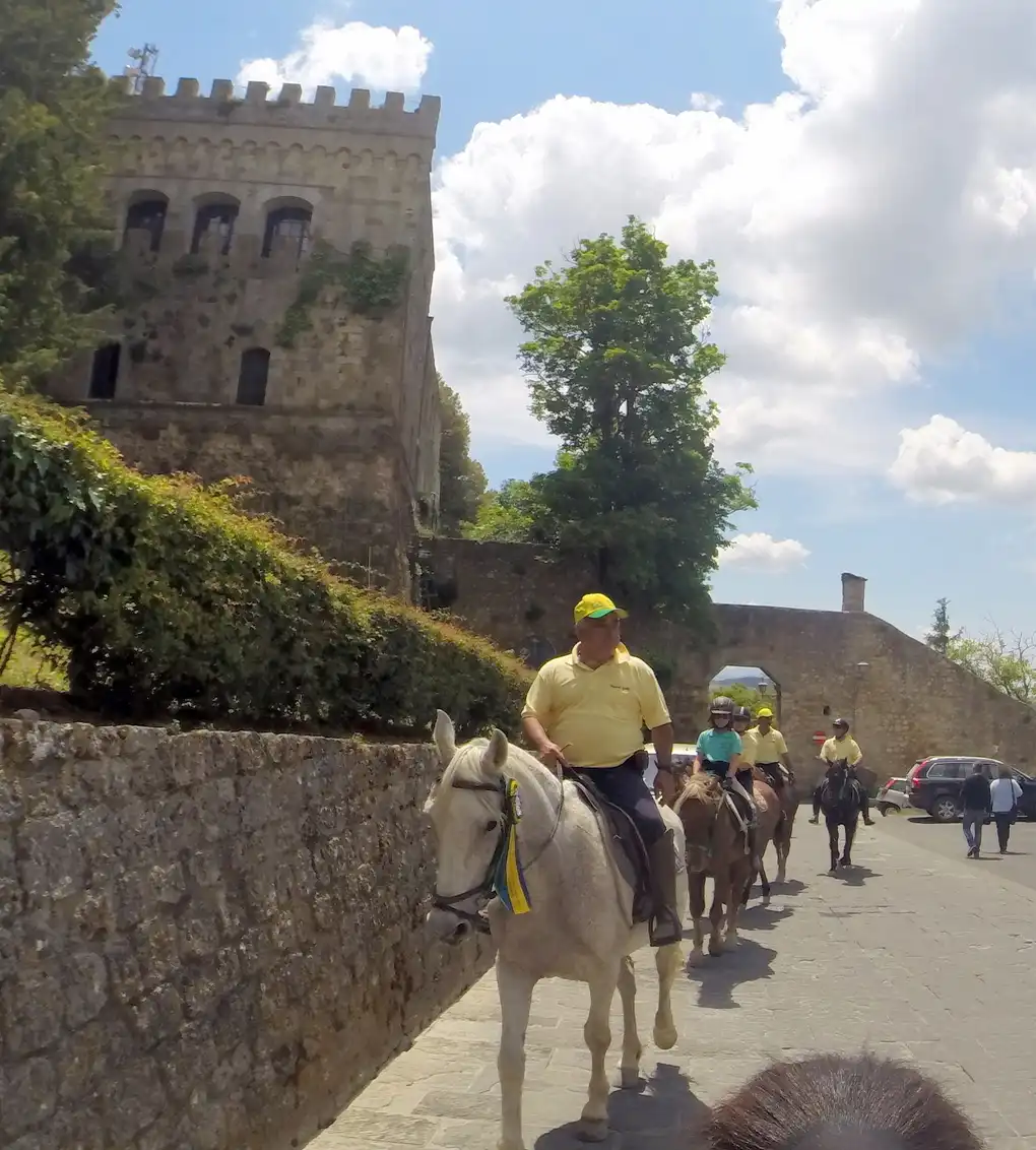 Cavalli montepulciano