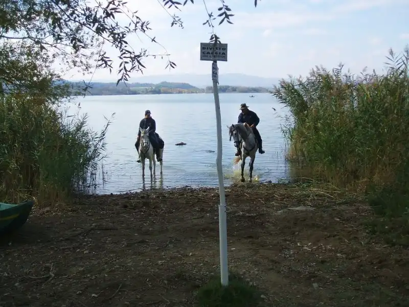 Cavallo lago di chiusi