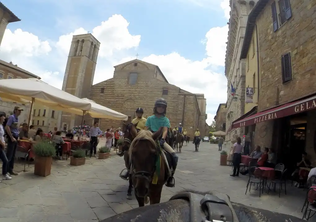 Cavallo montepulciano