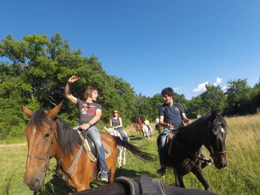 Giorgio sernagiotto cavallo