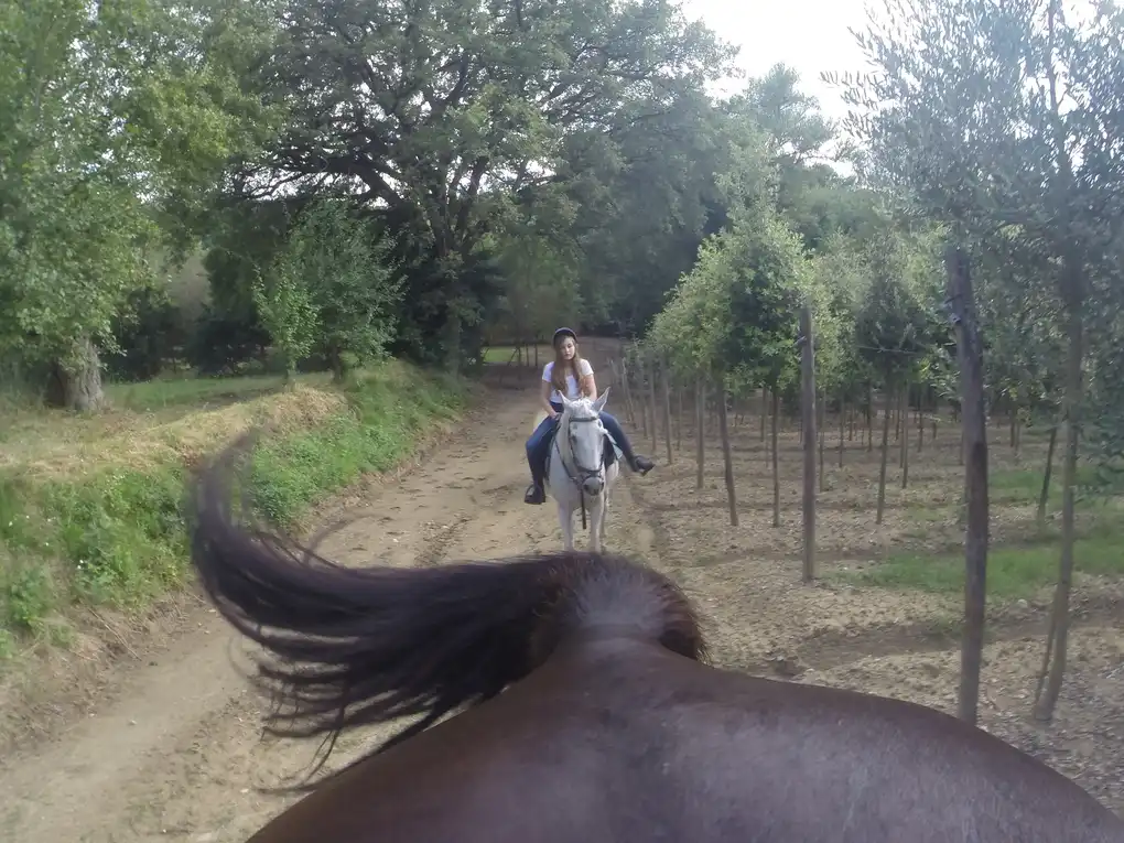 Gita cavallo lago trasimeno