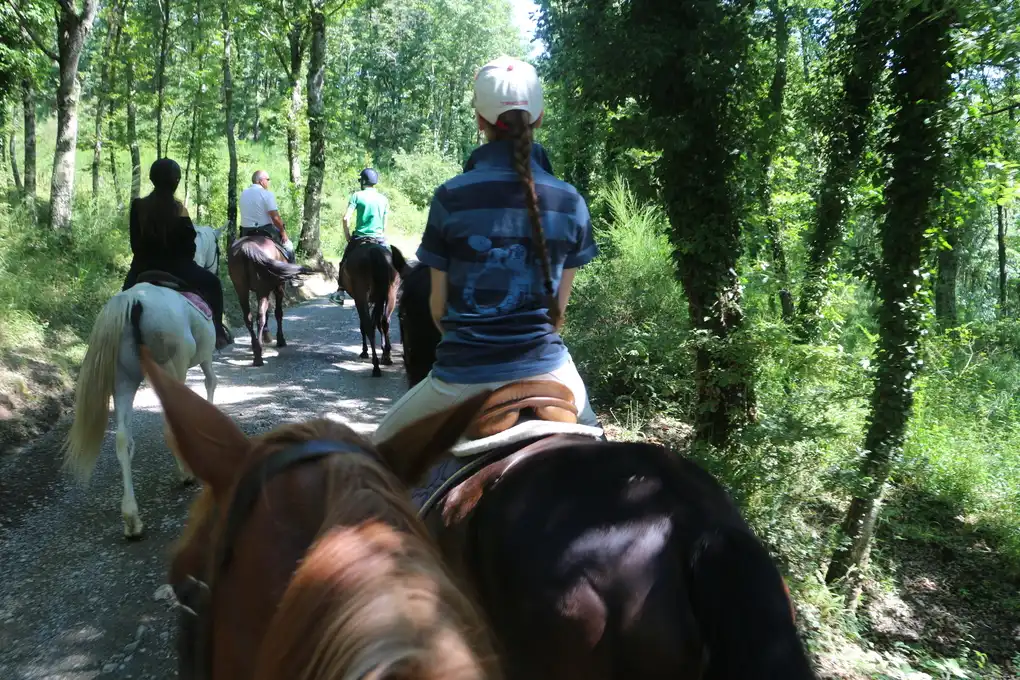 Gita cavallo toscana