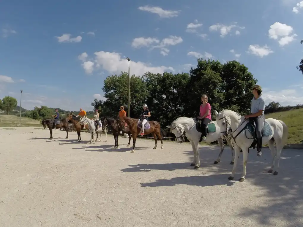 Maneggio tre laghi gite cavallo