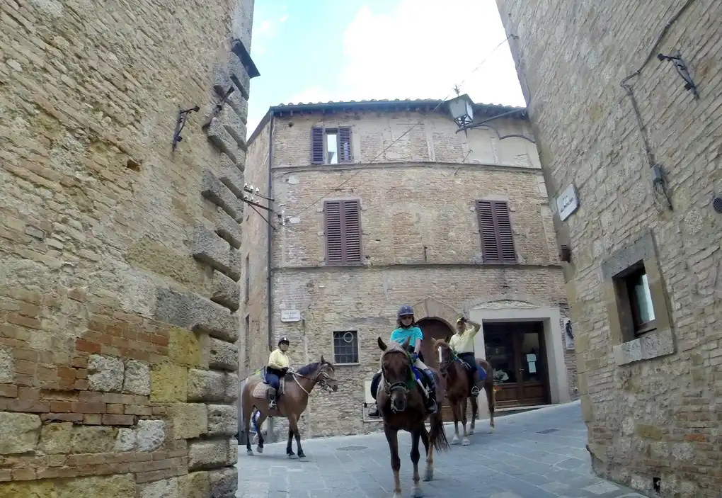 Montepulciano maneggio