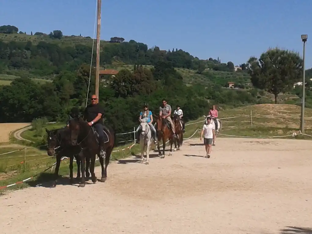 Passeggiata cavallo maneggio